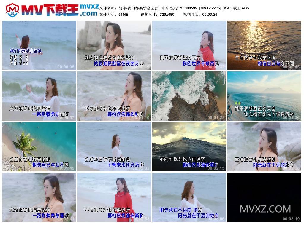 胡菲-我们都要学会坚强_国语_流行_YF300599